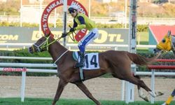 Tüyosu olan kazanır! 3 Kasım at yarışı tahminleri