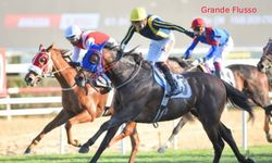 Tüyosu olan kazanır! 4 Kasım at yarışı tahminleri