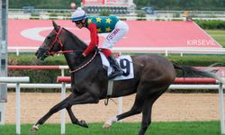 Tüyosu olan kazanır! 10 Kasım at yarışı tahminleri