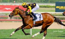 Tüyosu olan kazanır! 18 Kasım at yarışı tahminleri