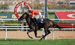 Tüyosu olan kazanır! 7 Kasım at yarışı tahminleri