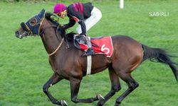 Tüyosu olan kazanır! 17 Kasım at yarışı tahminleri