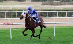 Tüyosu olan kazanır! 21 Kasım at yarışı tahminleri