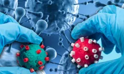 Yeni virüs H3N2 hızla yayılıyor: Uzmanlar endişeli, tablo iyiye gitmiyor