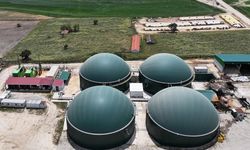 Edirne'de köye kurulan tesiste bitkisel ve hayvansal atıklar elektriğe dönüşüyor
