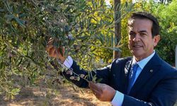 Antalya’nın sıvı altını yarışacak