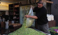 Gaziantep’te yeşil zeytin fiyatları sabit kaldı