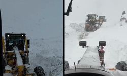 Artvin’de çığ faciası: Üç kişi kar altında kaldı