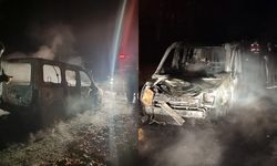 Seyir halindeki hafif ticari araç alev topuna döndü