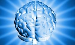 Sağlıklı bir zihin için uzak durun! Nörologlara göre beyne en zararlı 6 besin