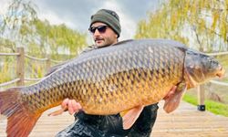 Dev sazan balığını yakayıp serbest bıraktılar!