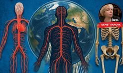 Vücudunuzda gizli bir otoyol var: 95.000 km damar, 72 km sinir!