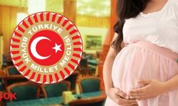 Meclis’te istismar skandalı derinleşiyor: 17 yaşındaki stajyer hamile kaldı