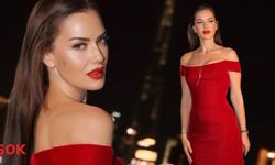 Fahriye Evcen'e öyle bir teklif gitti ki... 'Uğultulu Tepeler' uyarlaması geliyor!