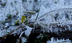 Kars'ta soğuk hava etkili oluyor
