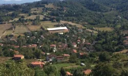 Yalova Elmalık köyü nerede? Yalova Elmalık Köyü Bursa'ya ve İstanbul'a yakın mı?