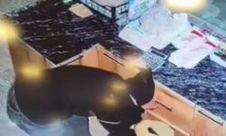 Kameralara yansıdı: Sadaka kutusu ve nakit para hırsızları yakalandı