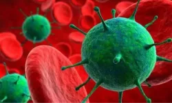 H3N2 nedir, Türkiye'de var mı? H3N2 belirtileri neler, tedavisi var mı?