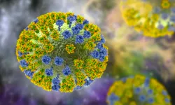 H3N2 virüsü Türkiye'de görüldü mü? H3N2 virüsü nasıl bulaşır, belirtileri neler?