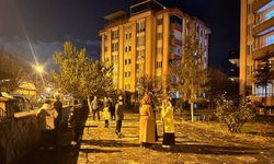 Van'da 4,6 büyüklüğünde deprem! Vatandaşlar sokağa fırladı