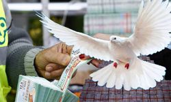Türkiye'de talih kuşuna güven yok! Çarpıcı şans oyunları anketi ortaya koydu