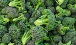 Brokoli mucizesi! Alzheimer için beyninize kalkan oluyor