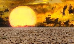 Küresel ısınmanın gizli tehlikesi: Salgın hastalıklar artacak