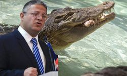 Aşırı sağcı bakandan korkunç teklif! Filistinli esirler için 'timsahlı tesis' önerisi