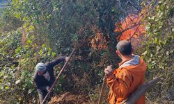 Artvin'de örtü yangını ormana sıçradı