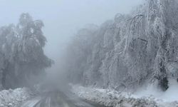 İstanbul'un yanı başında kar heyecanı