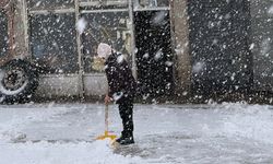 Van'da kar etkili oldu