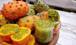 Kiwano nasıl yenir, nasıl kesilir? Kiwano meyvesi faydaları neler, hamilelikte yenir mi?