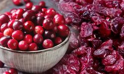 Soğuk algınlığına şifa deposu: Kızılcığın mucize etkisi