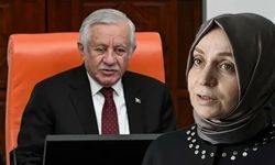 MHP'li Celal Adan, AK Partili kadın vekili fırçaladı: 'Kimi döveceksin?'