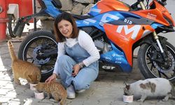 Kazanda pişirdiği etlerle sahipsiz kedileri besliyor