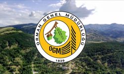 OGM personel alımı başvurusu ne zaman bitiyor? OGM personel alımı sonuçları ne zaman açıklanacak? Başvuru son tarihi