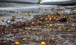 Bodrum'da yağmur suyuyla denize sürüklenen atıklar kıyıya vurdu