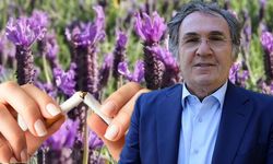 Sigarayı bir defada bıraktıran tarif! Prof. Dr. İbrahim Saraçoğlu'ndan nikotin krizine mucize çare