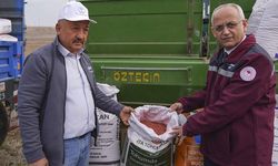 Çankırı'da çiftçiler 800 hektarda kuraklığa dayanıklı sertifikalı tohum deniyor