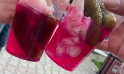 Yemekten yarım saat önce turşu yemek sindirimi kolaylaştırıyor