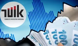 TÜİK Kasım enflasyonunu duyurdu: Hangi kalemler aşağı, hangileri yukarı?