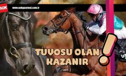 Tüyosu olan kazanır! 18 Aralık at yarışı tahminleri