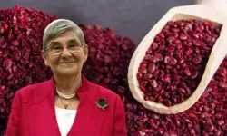 'Ölümsüzlük iksiri gibi' dedi: Canan Karatay’ın işaret ettiği baharat yok satıyor