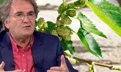 Egzamayı kökünden çözen tarif! Prof. Dr. İbrahim Saraçoğlu kremlerden daha faydalı o kürü açıkladı