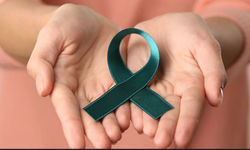 Türkiye’de her yıl 1200 kadın rahim ağzı kanserinden ölüyor