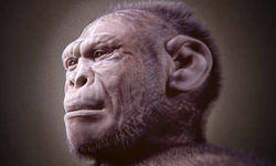 İnsan evriminin şaşırtan keşfi: Tarihin en eski örneği bulundu!