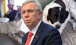 Matmazel'i öldürenleri affetmedi: İşlerine son verildi