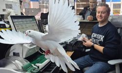 Milli Piyango'da büyük ikramiyeyi kazanan bileti satan bayi konuştu! Kime çıktı?