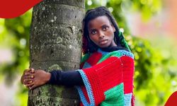 Çevreci rekortmen! 3 gün boyunca bir ağaca sarılarak yaşadı