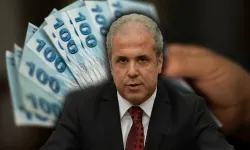 Şamil Tayyar duyurdu: Emekliye 'sosyal maaş' takviyesi geliyor! Kaç TL olacak?